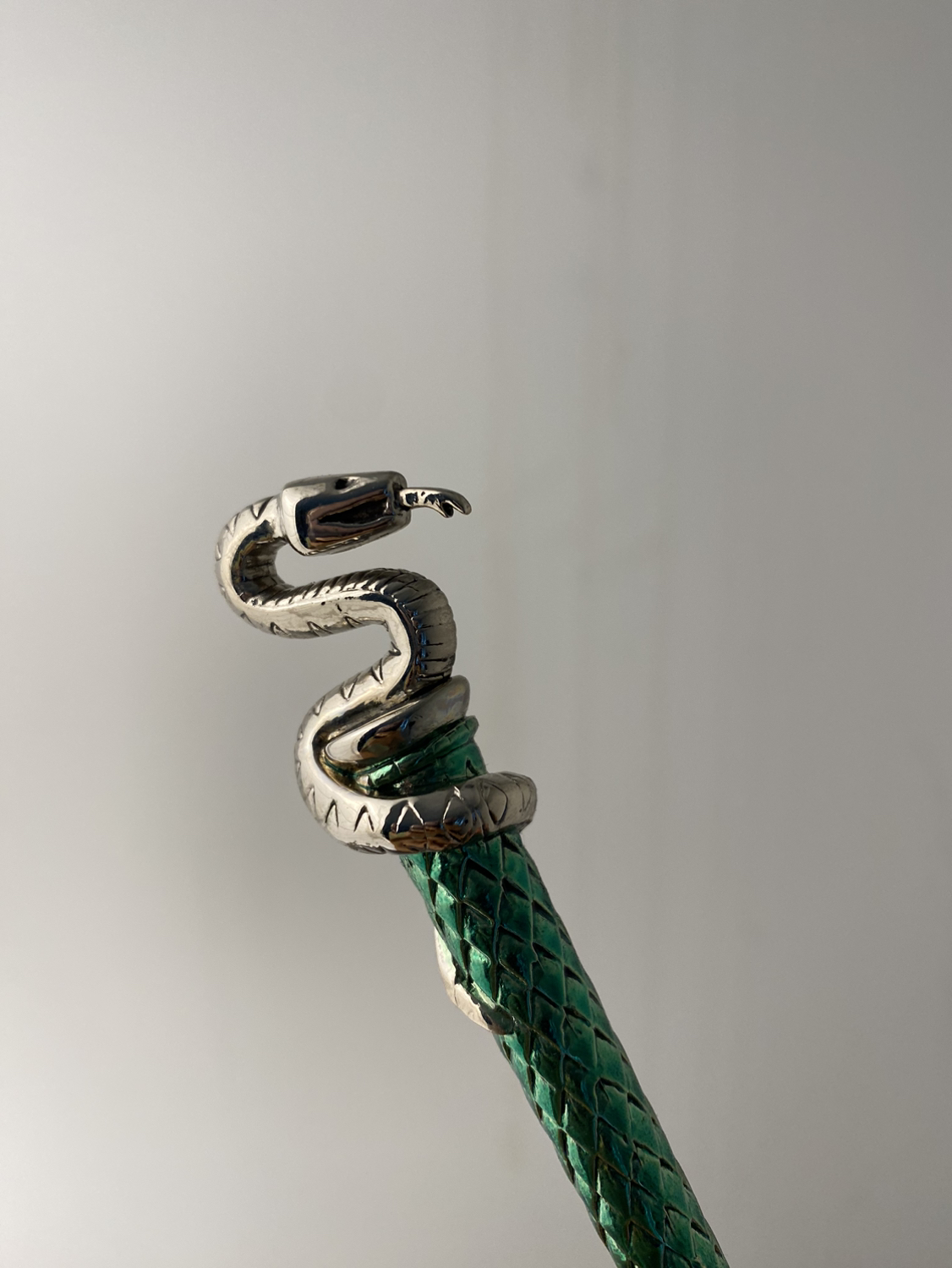 Slytherin Pen image indicator(2)