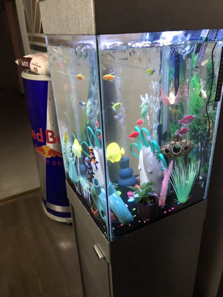 Fish tank - photo 2