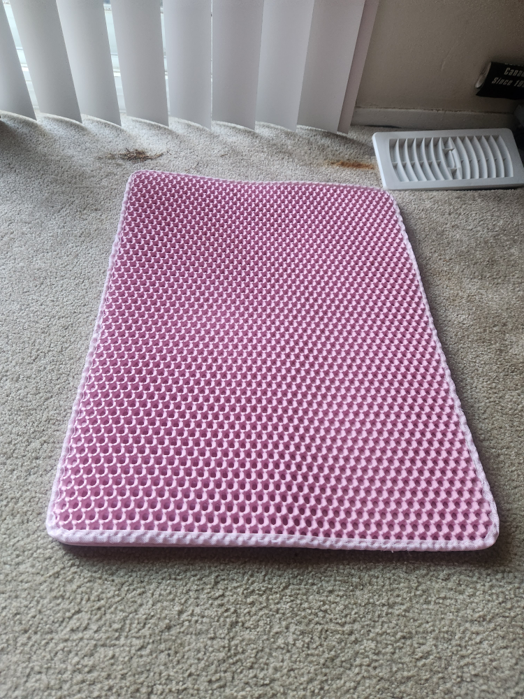 cat litter mat
