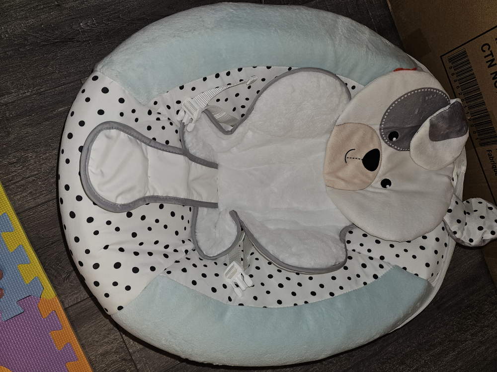 Fisher Price Cradle n' Swing - photo 2