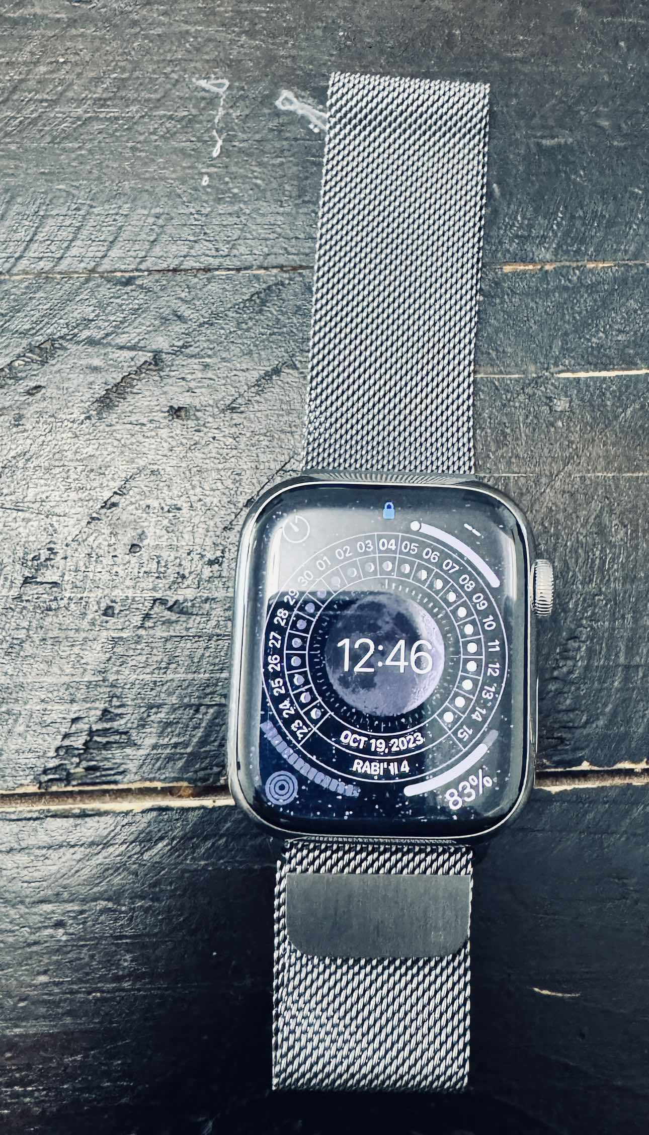 Apple Watch Series 7 45MM with Milanese Loop