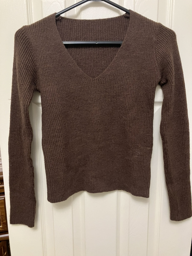 Brown Sweater 🦃