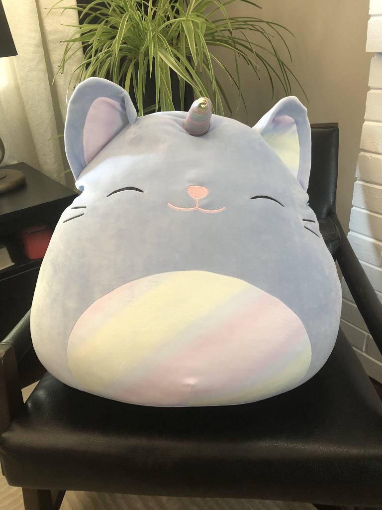 Squishmallow thumbnail