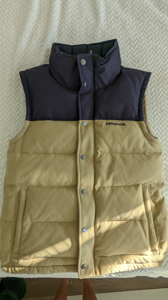 Patagonia Men's Canvas Down Vest XS