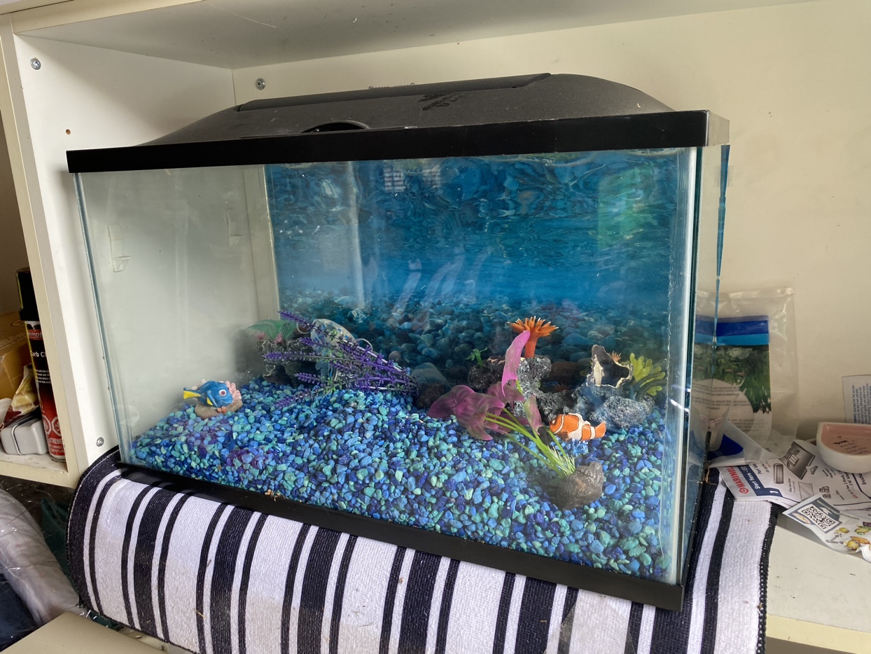 KIDS STARTER FISH TANK AQUARIUM