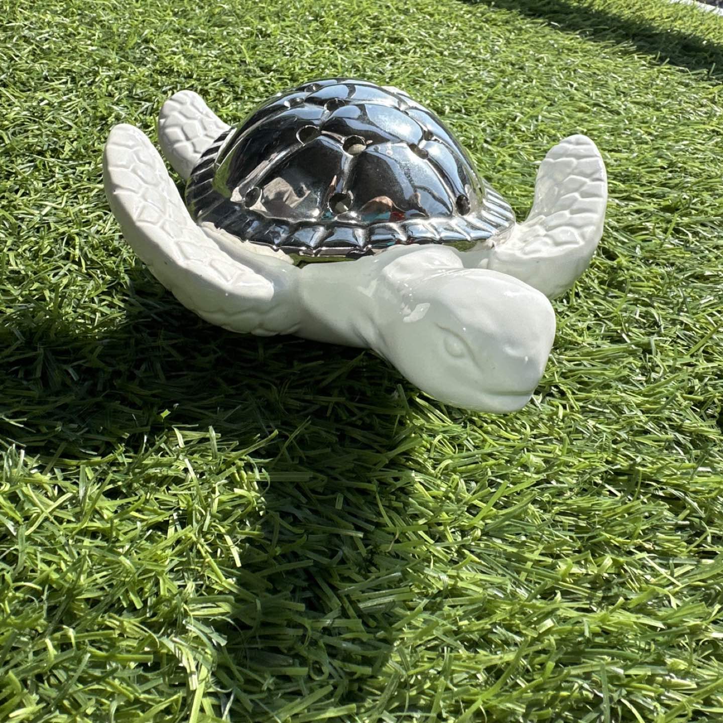 turtle decor image indicator(2)