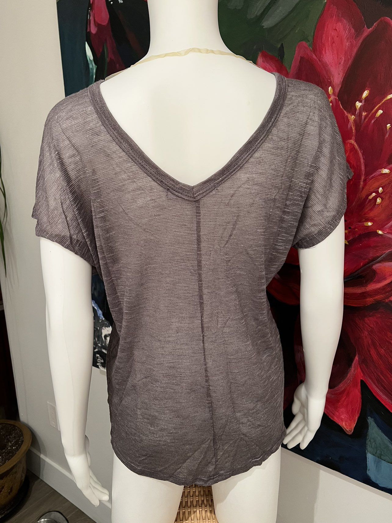 T-shirt - sheer material, NEW, never worn. image indicator(4)