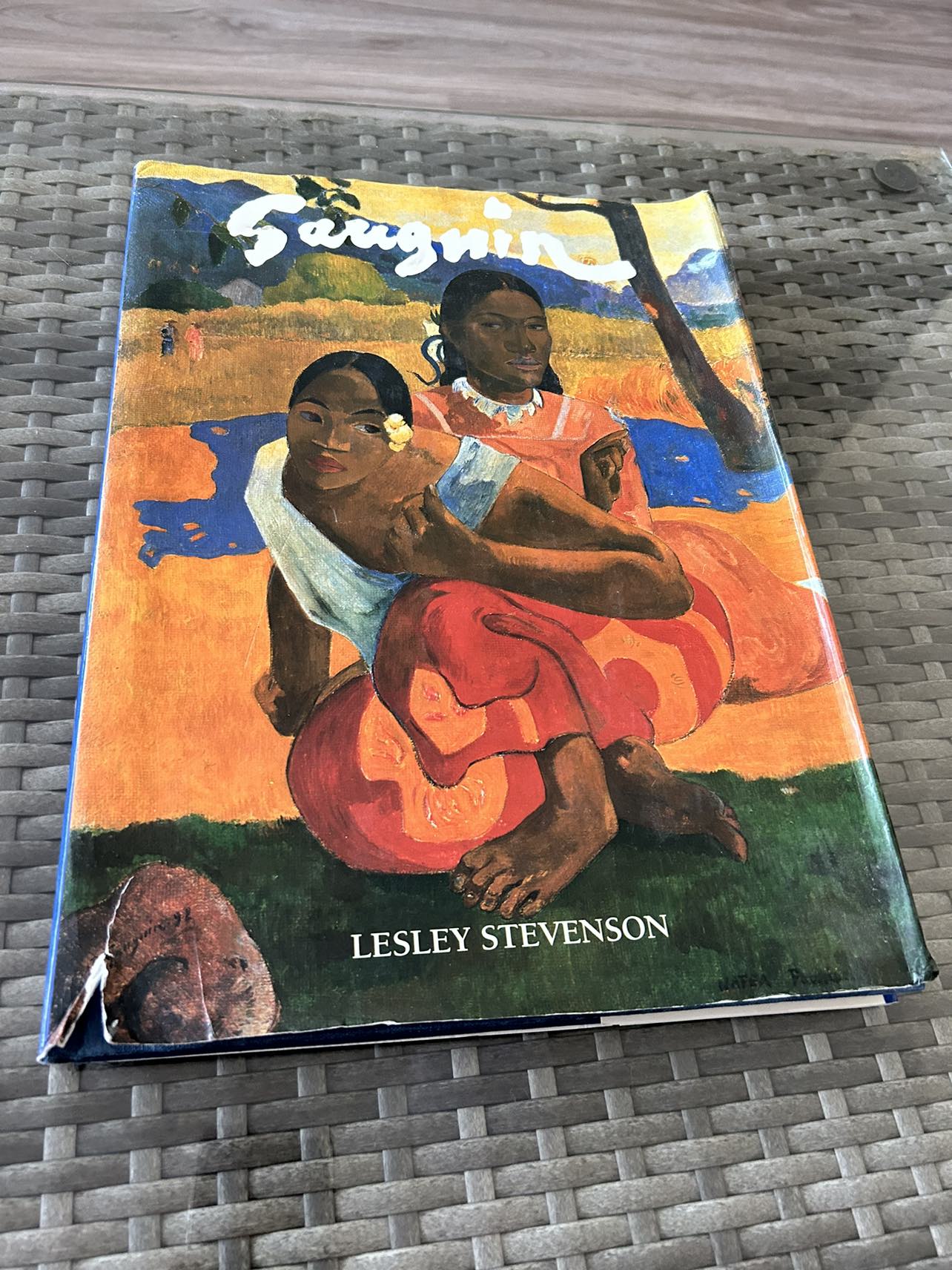 Gauguin by Leslie Stevenson thumbnail