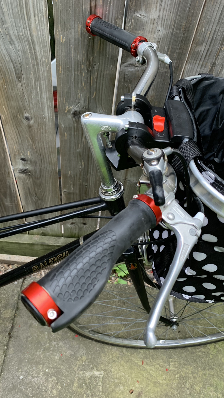 Luxury Vintage Raleigh with Pet Carrier / extras image indicator(8)