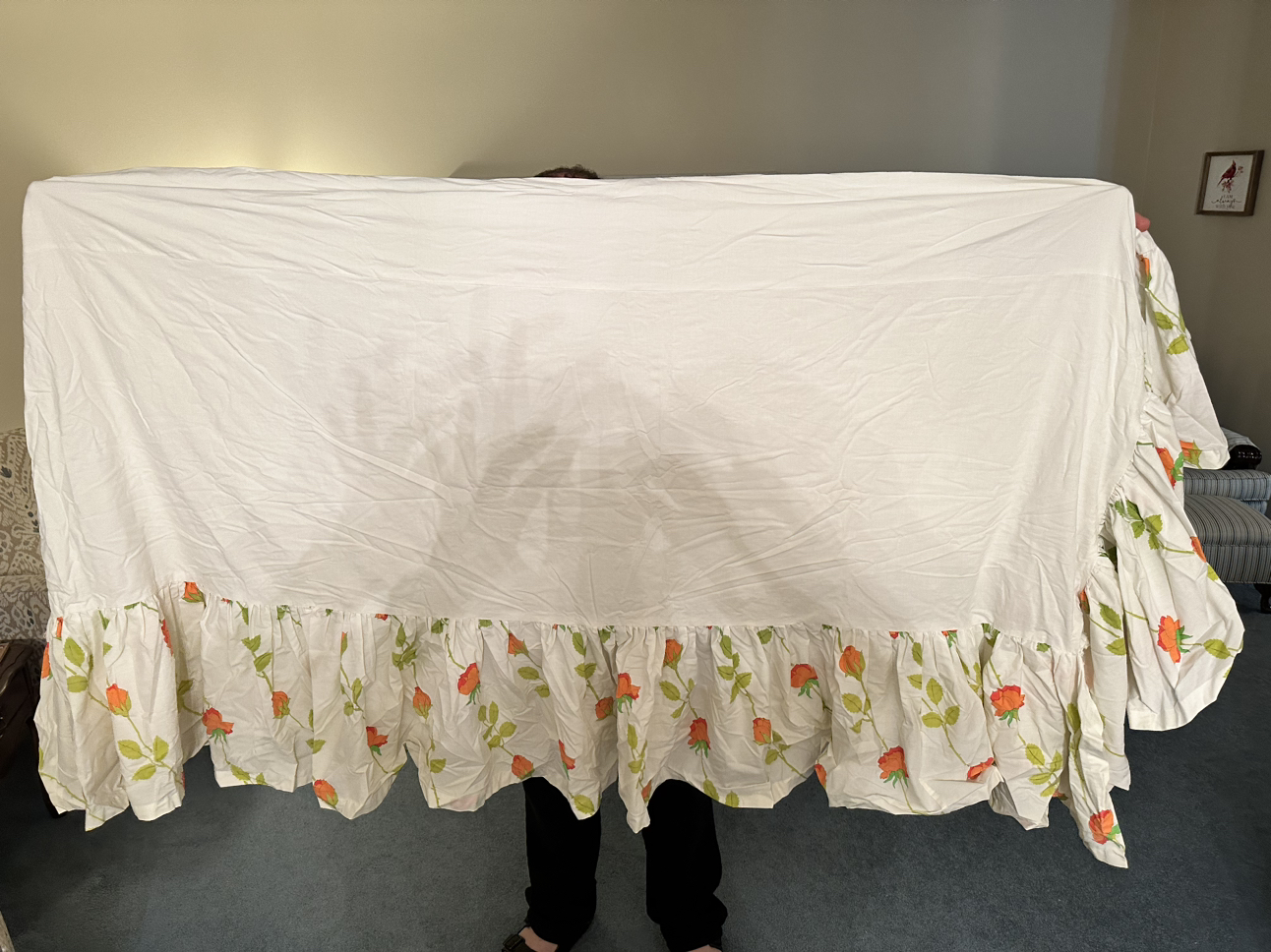 Comforter, sheet set and bedskirt - photo 2