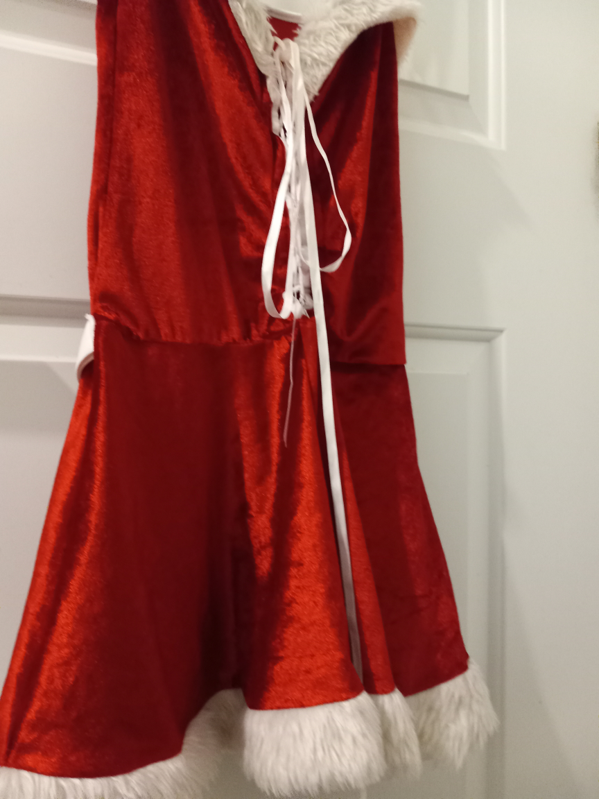 Santa Dress Costume