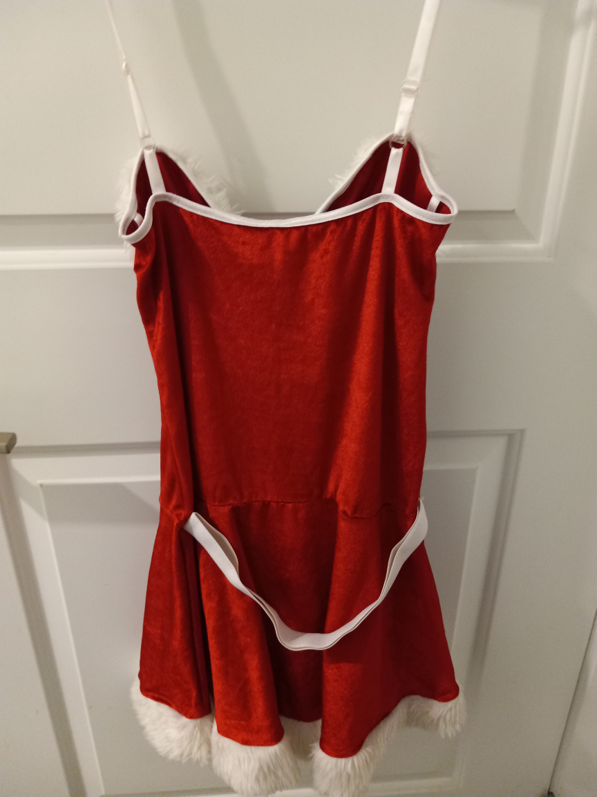 Santa Dress Costume - photo 5