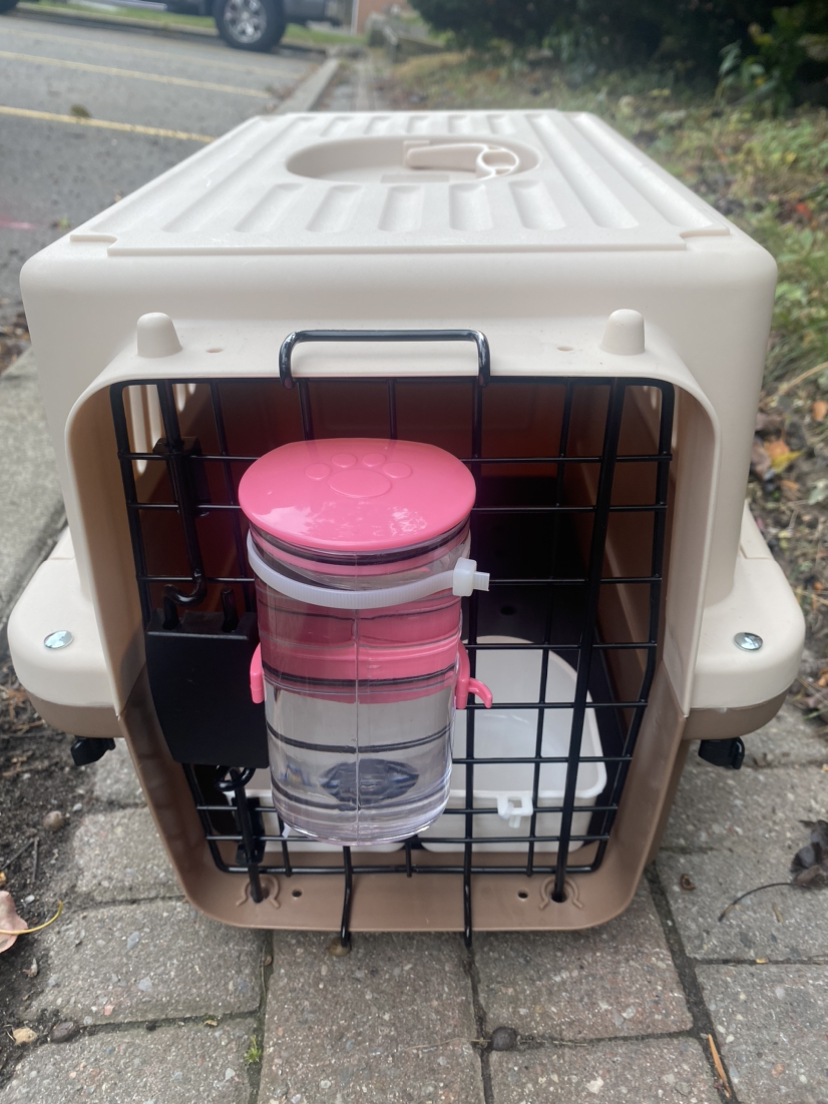 Small pet travel crate