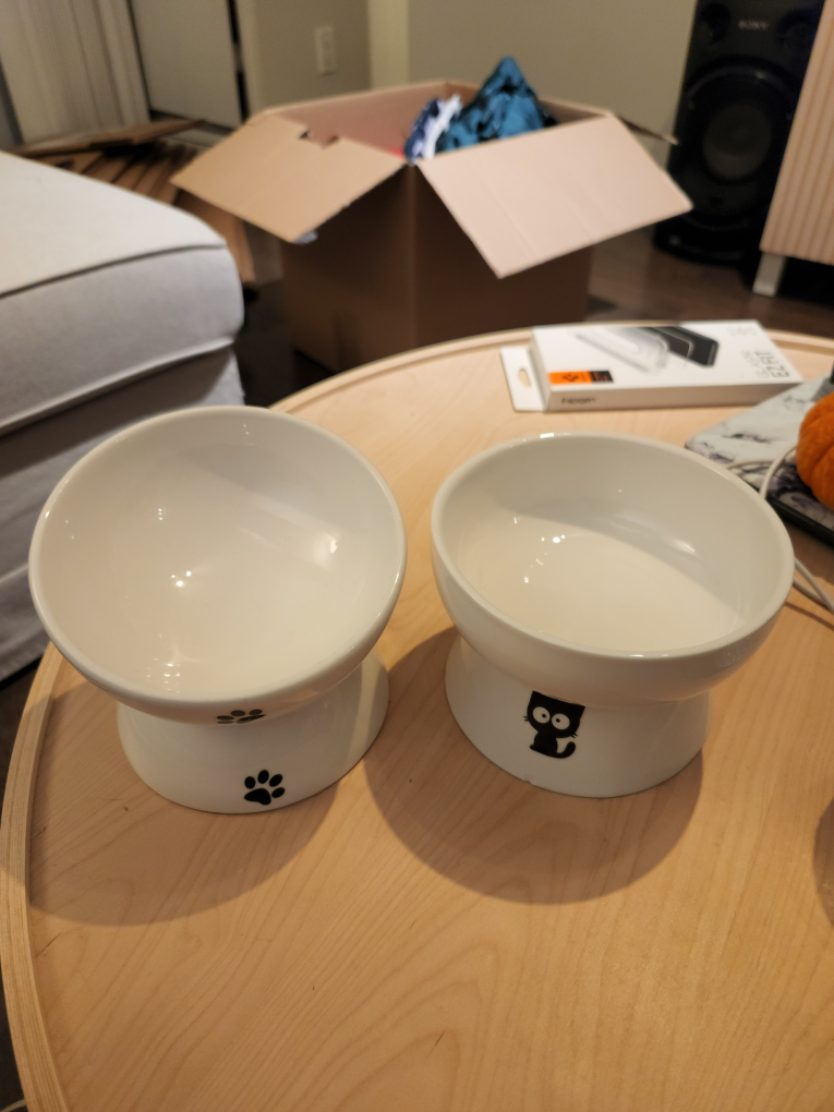 set of eating and water cat bowl