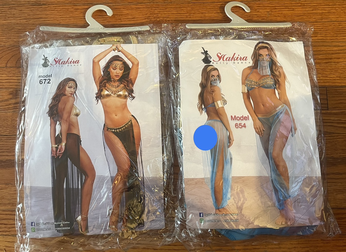 Oriental dance costume