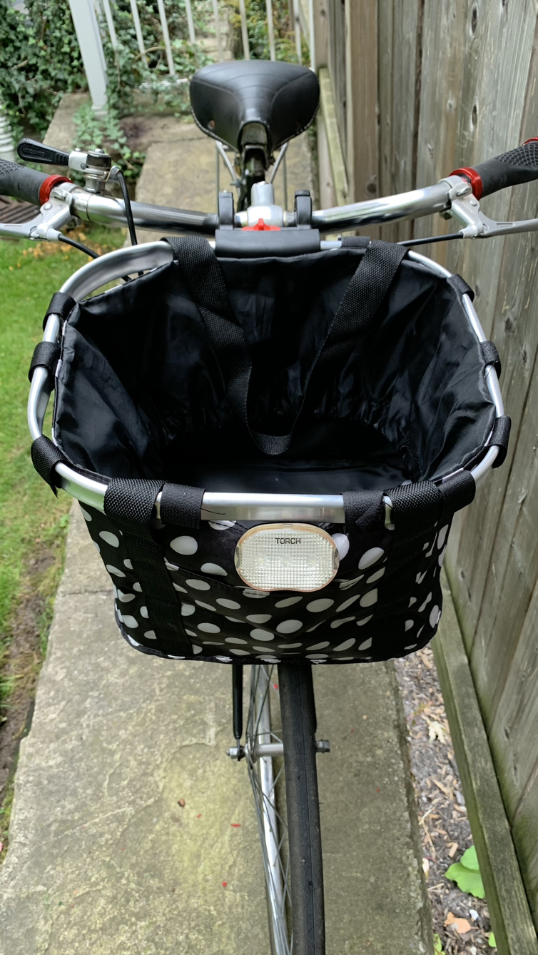 Luxury Vintage Raleigh with Pet Carrier / extras image indicator(7)