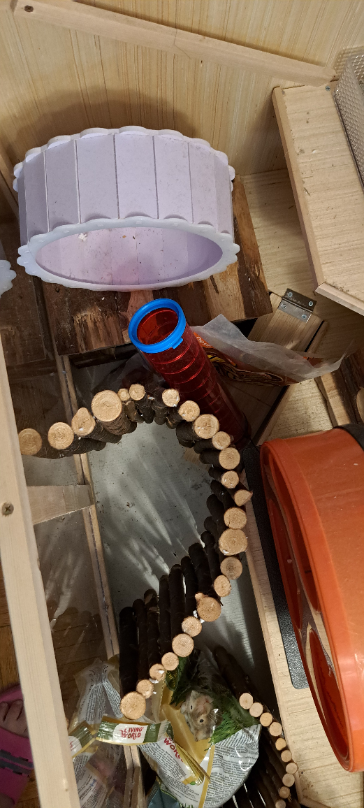 hamster house image indicator(4)