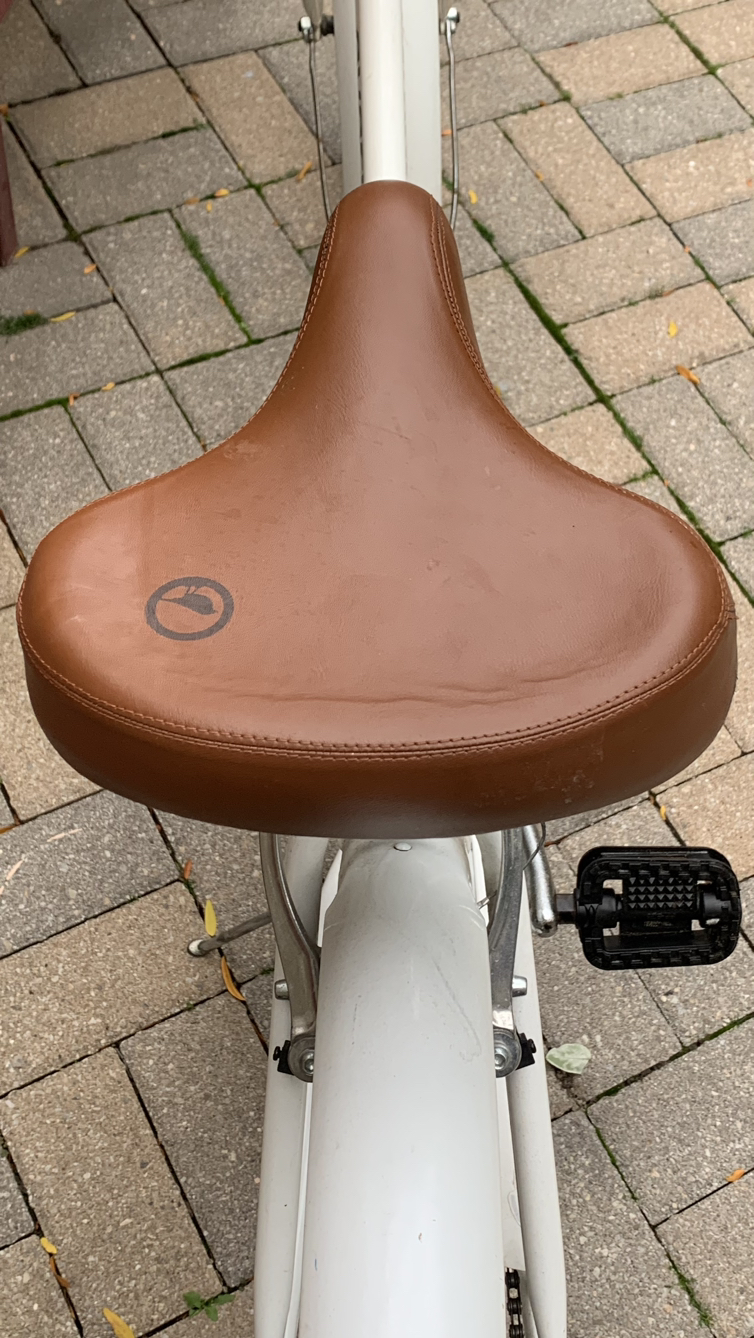 Wow! Dutch style 6 speed comfort cruiser bike, removable basket! image indicator(2)