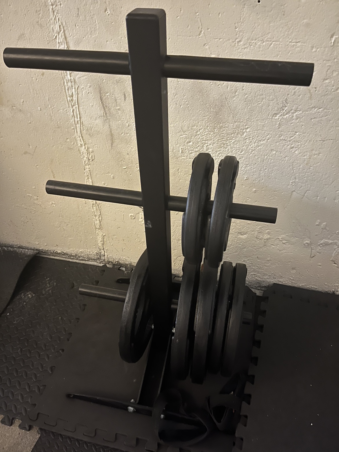 Olympic Weight Plates, Dumbels, Barbel, Weight Tree - photo 5