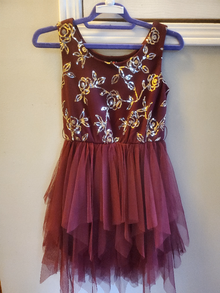 girl fancy dresses size 6-7 image indicator(3)