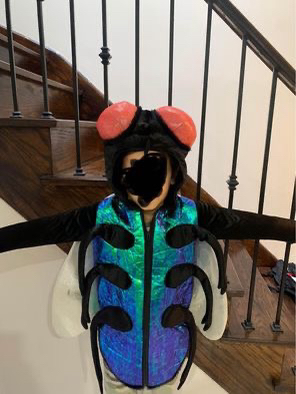 Bug/ Fly Halloween Costume image indicator(4)