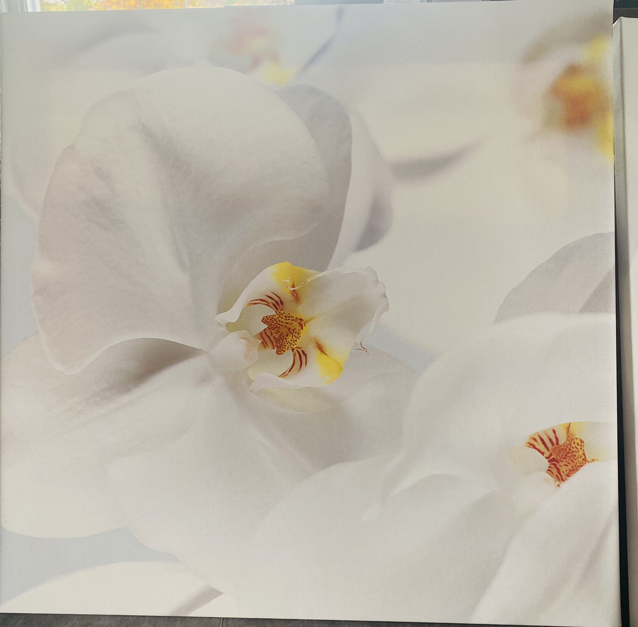 Orchid Canvas Wooden Framed Paintings - photo 3