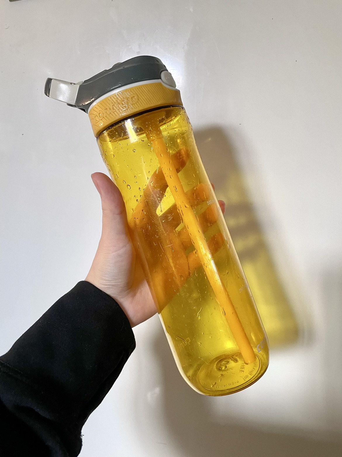 Contigo Water Bottle #freecycle thumbnail