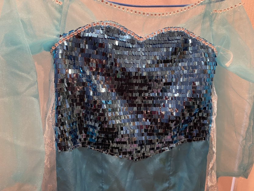 Frozen Elsa dress costume Halloween image indicator(3)