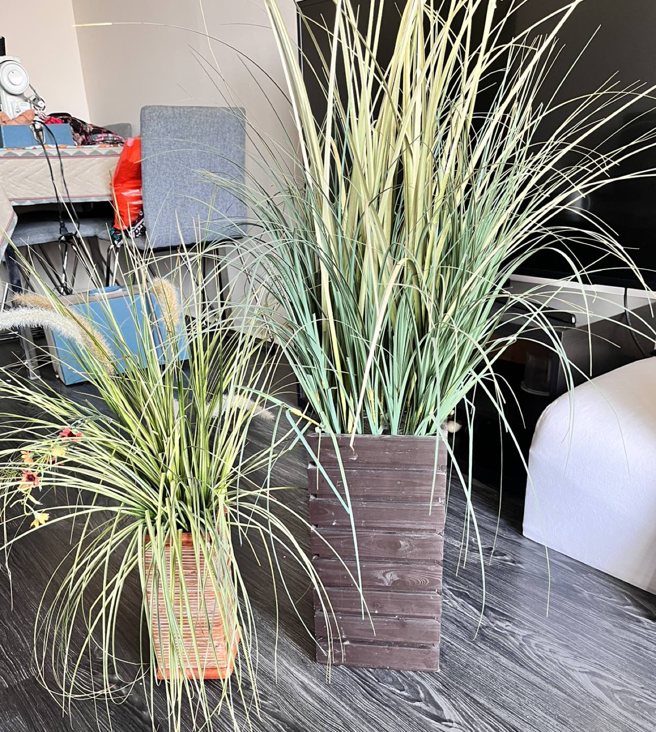 Artificial plant’s & picture thumbnail