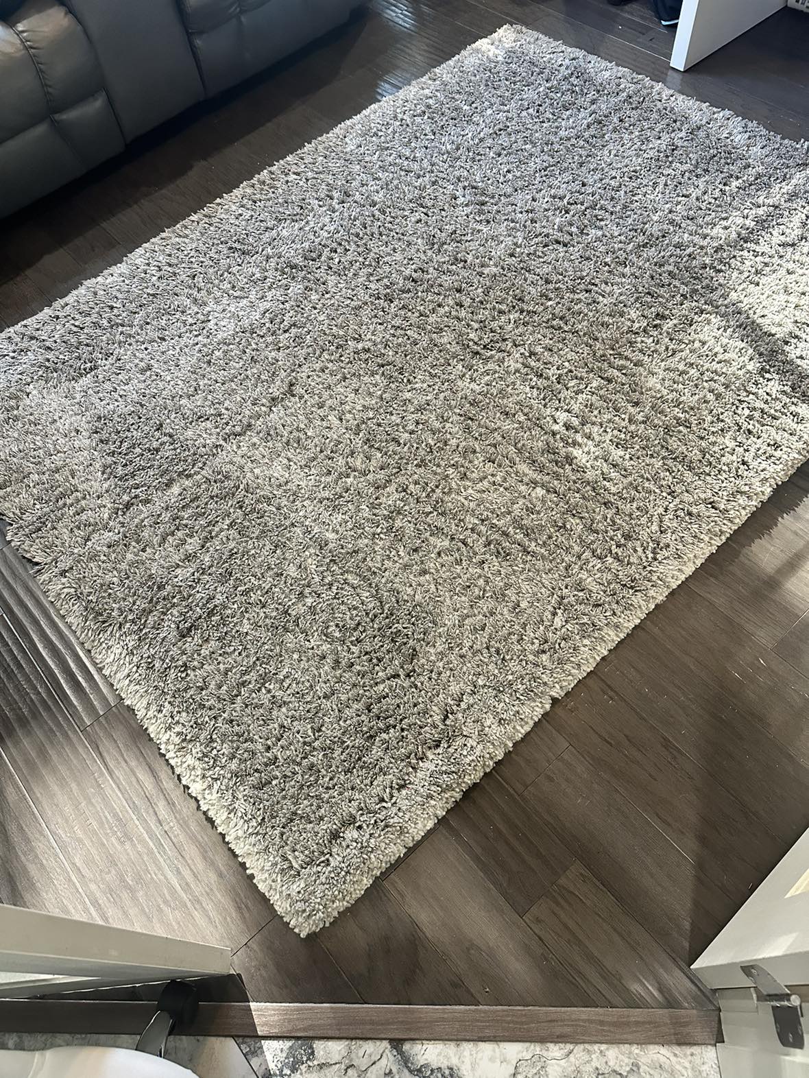 Beautiful shag carpet