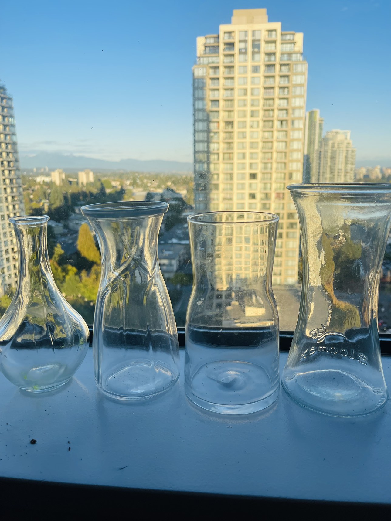 4 Flower Vases
