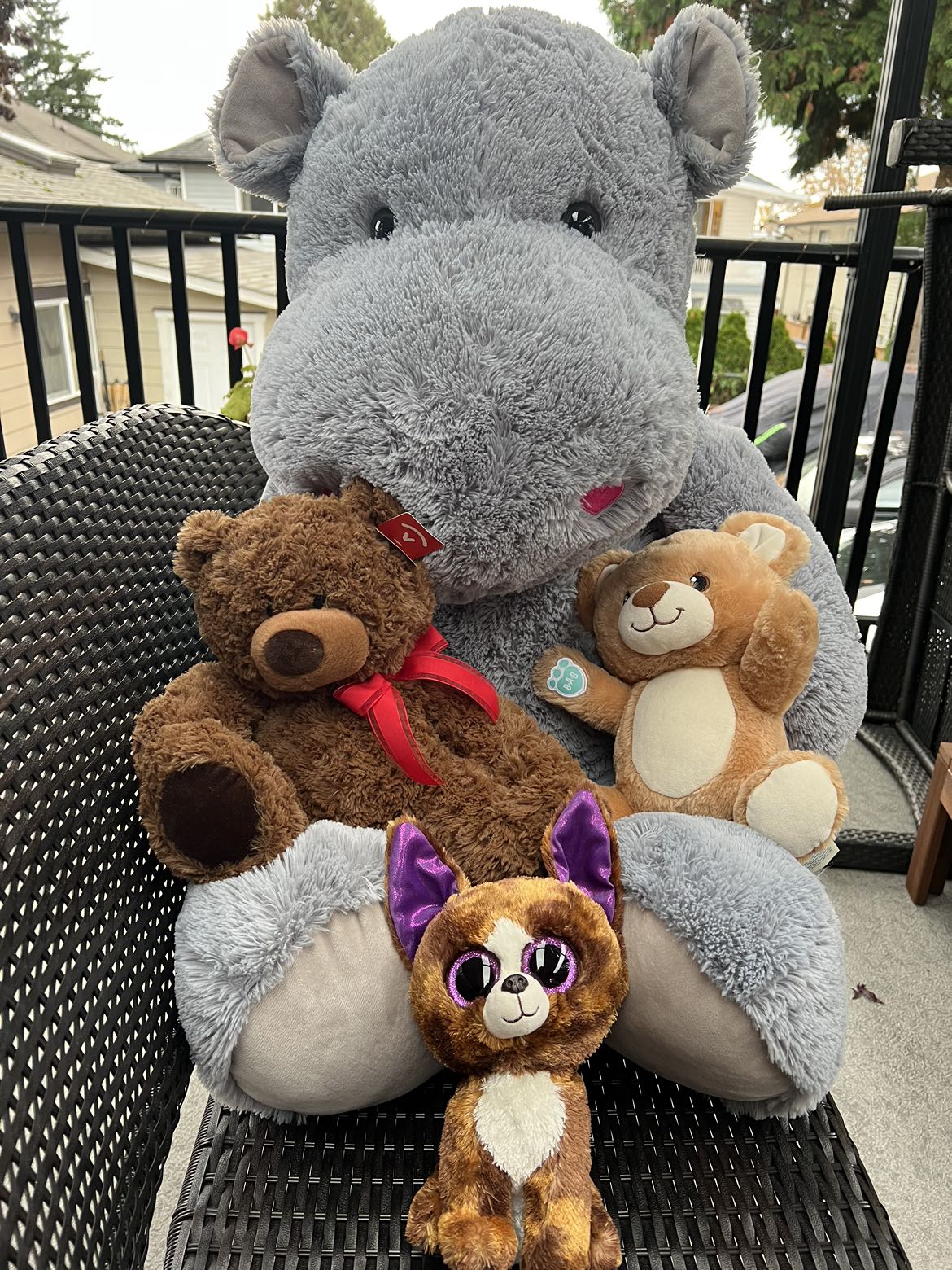 Stuffed Animals - Assorted