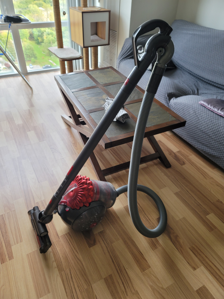 Dyson Cinetic bigball