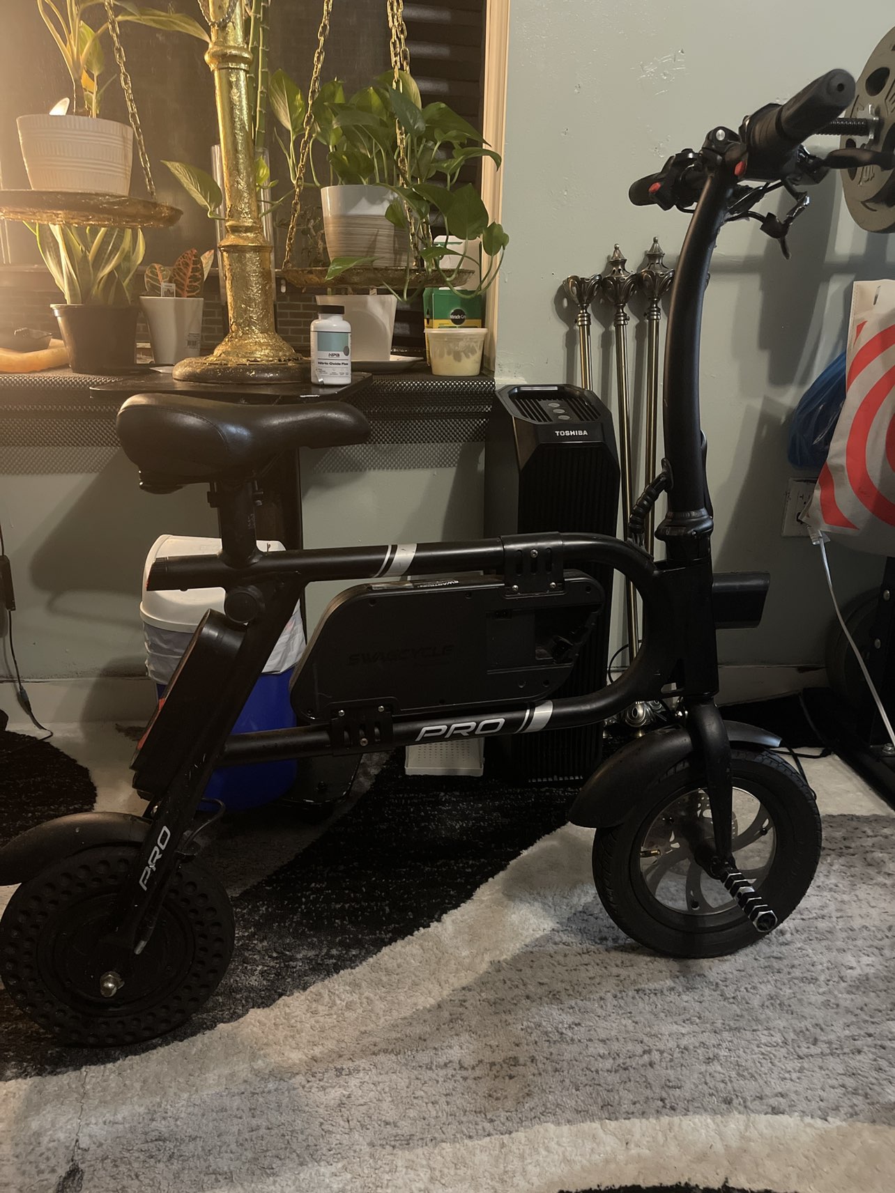 Electric bike