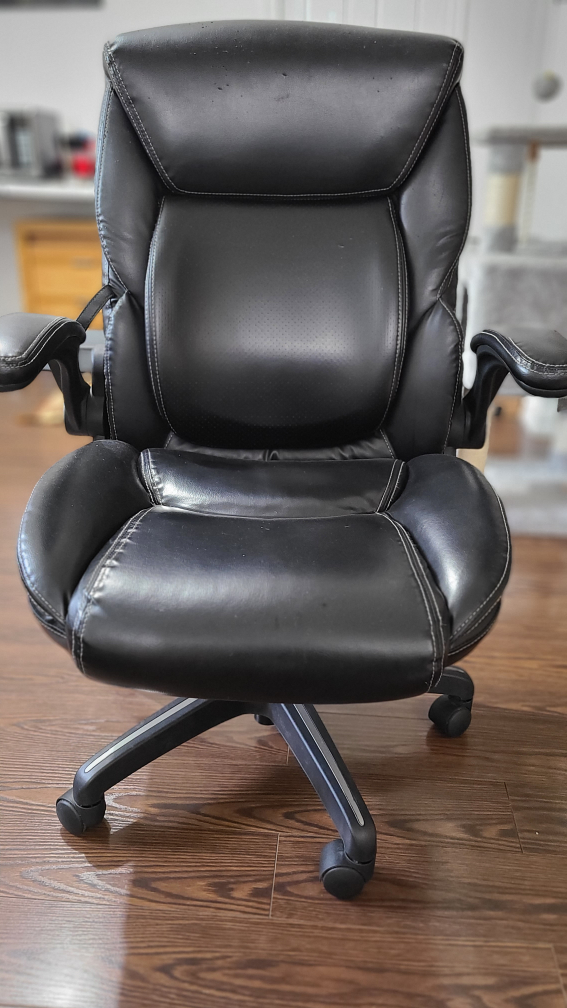 ergonomic office chair - photo 3