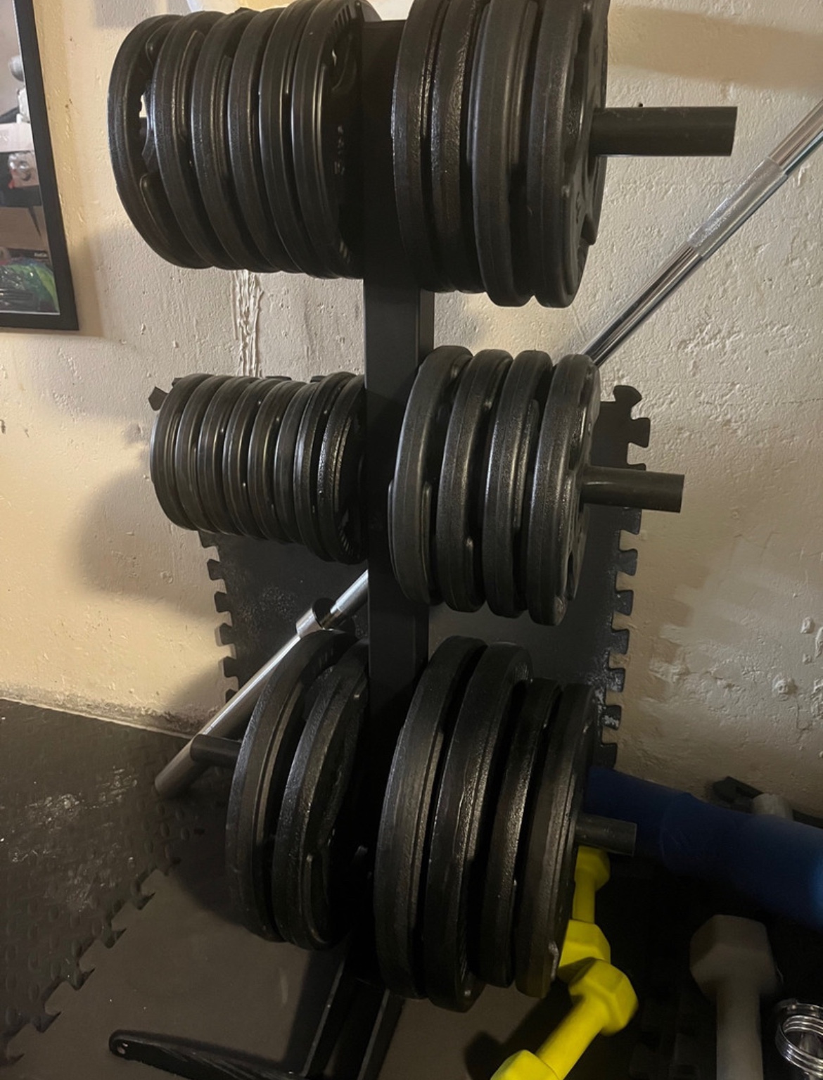 Olympic Weight Plates, Weight tree, Barbell, and Dumbels - photo 4