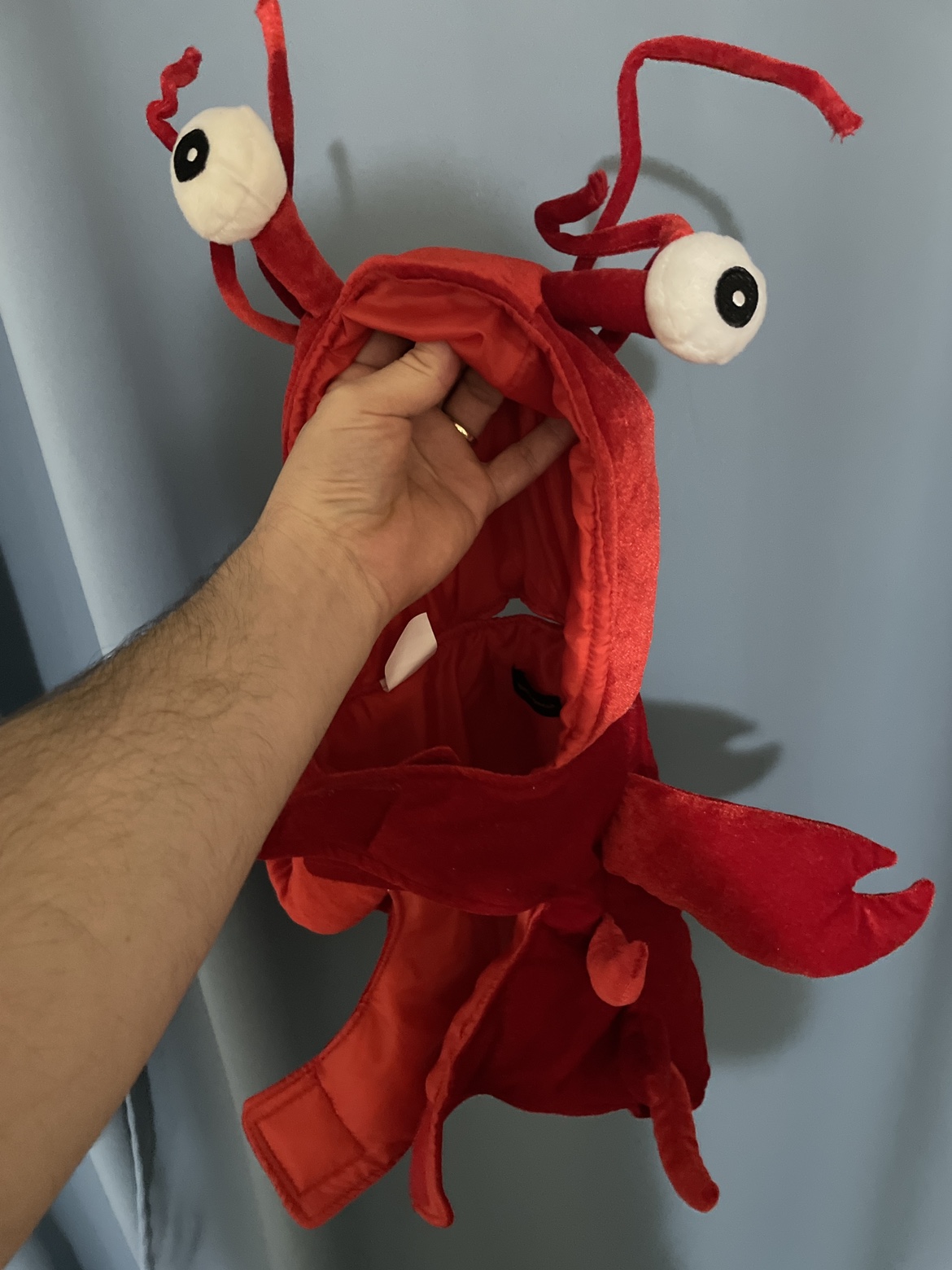 Medium halloween dog costume crab