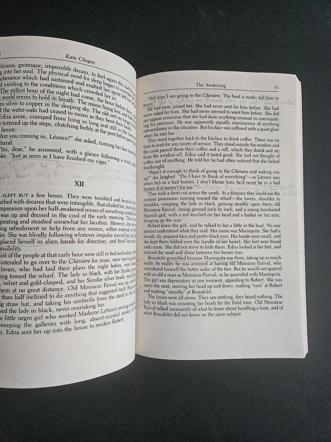 The Awakening by Kate Chopin #freecycle - photo 3