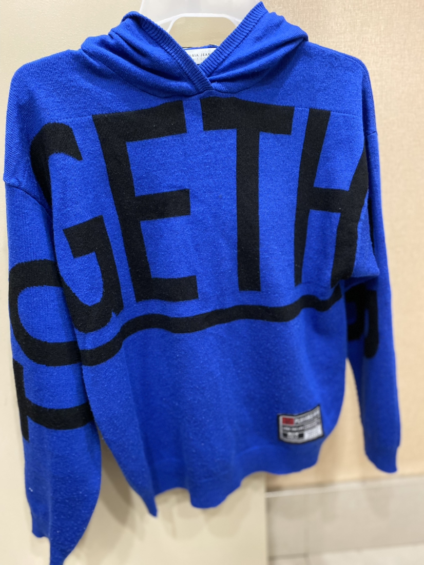 Hoodie sweater thumbnail
