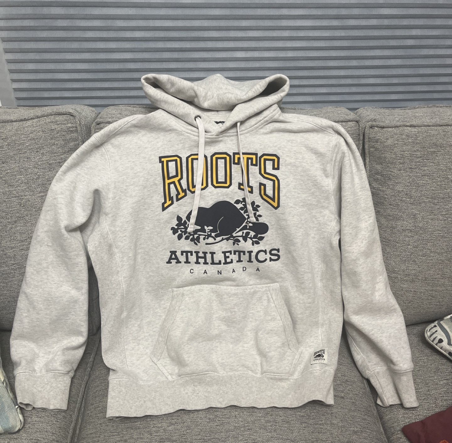 Roots Hoodie thumbnail
