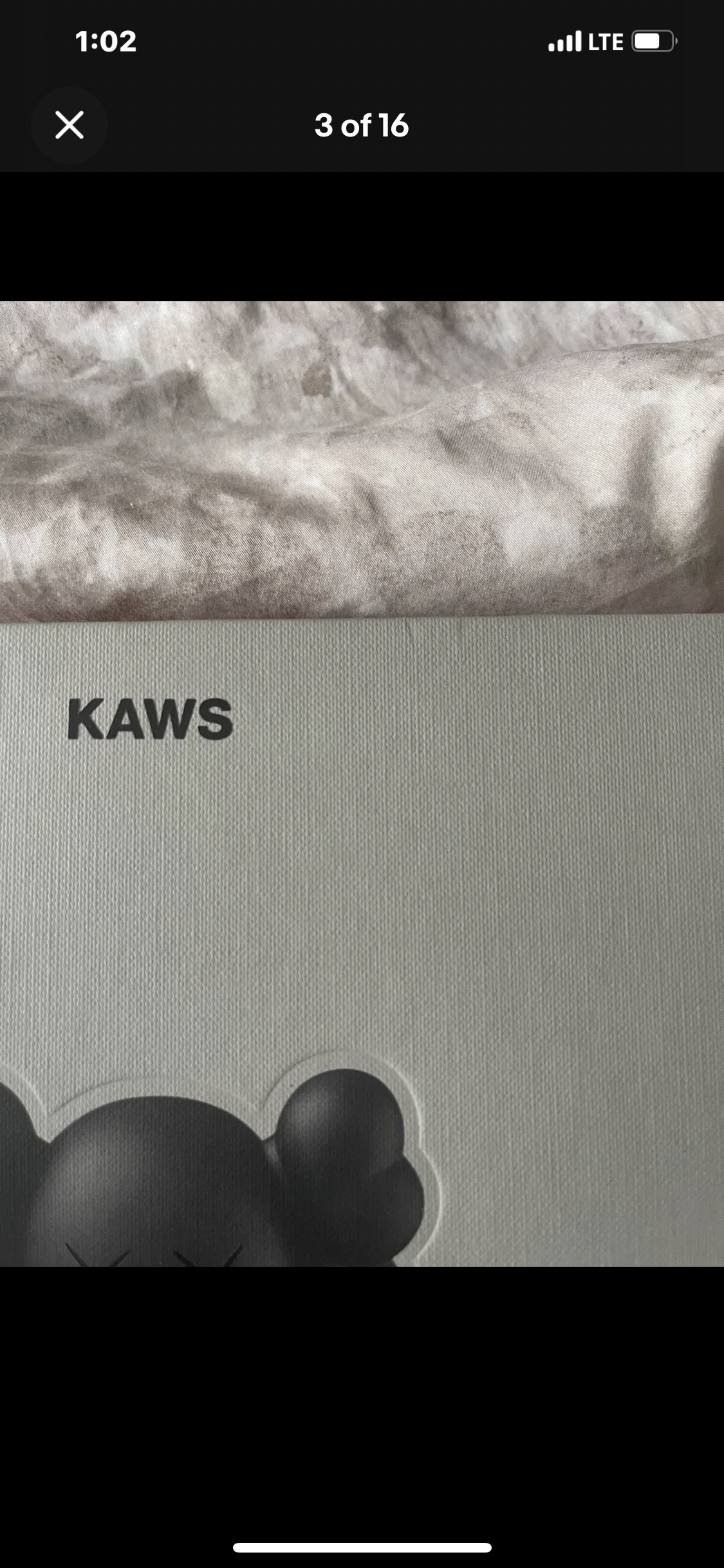 KAWS Companionship in the Age of Loneliness BOOK What Party image indicator(3)