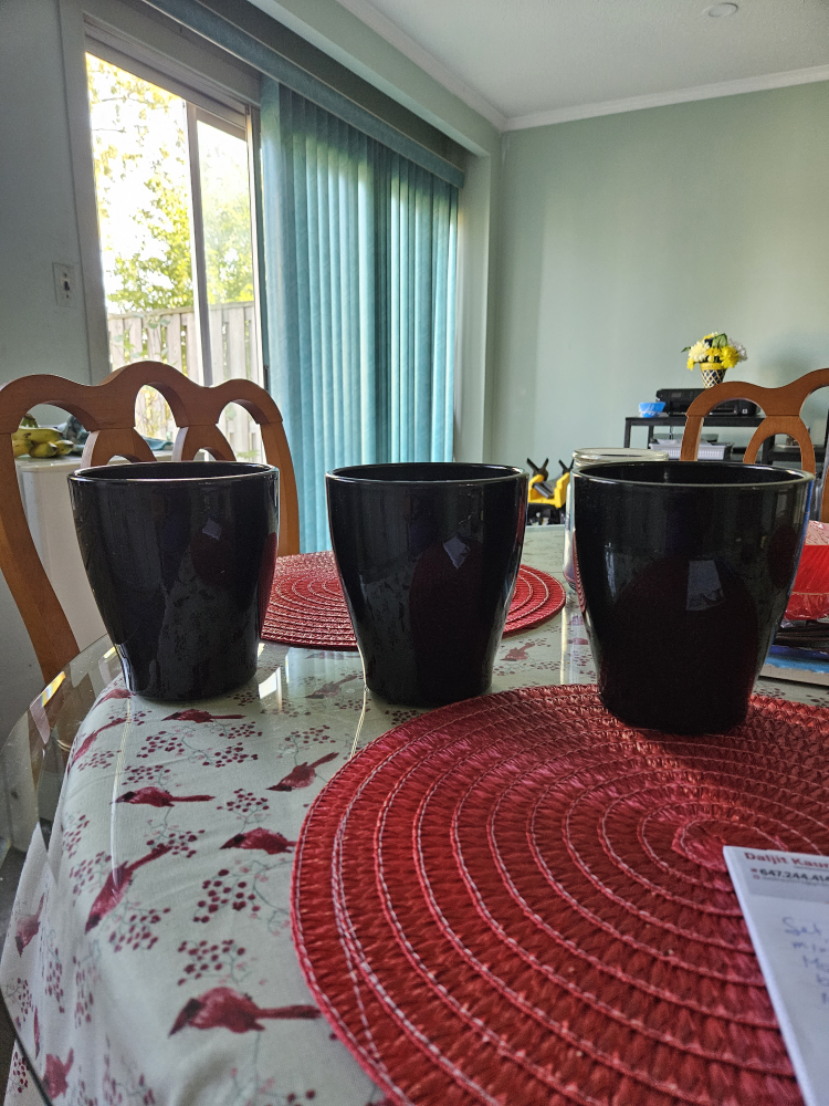 Set of 3 Flower Pots🦃 thumbnail