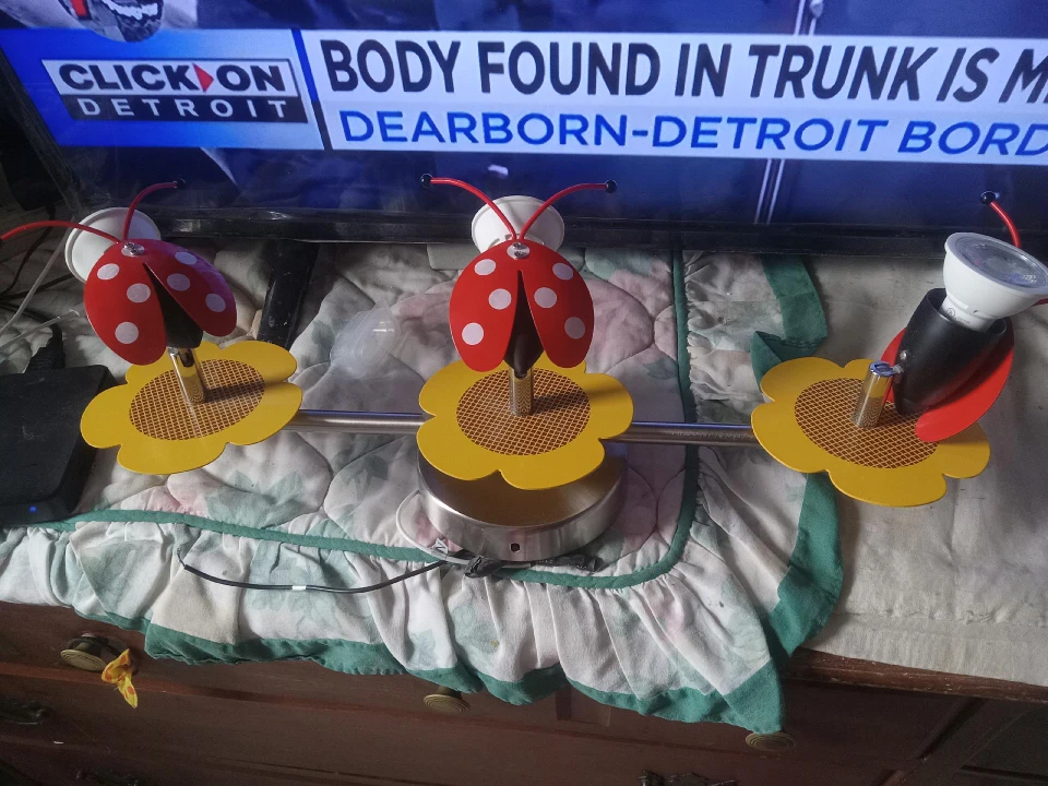 LadyBug Ceiling Light!!!