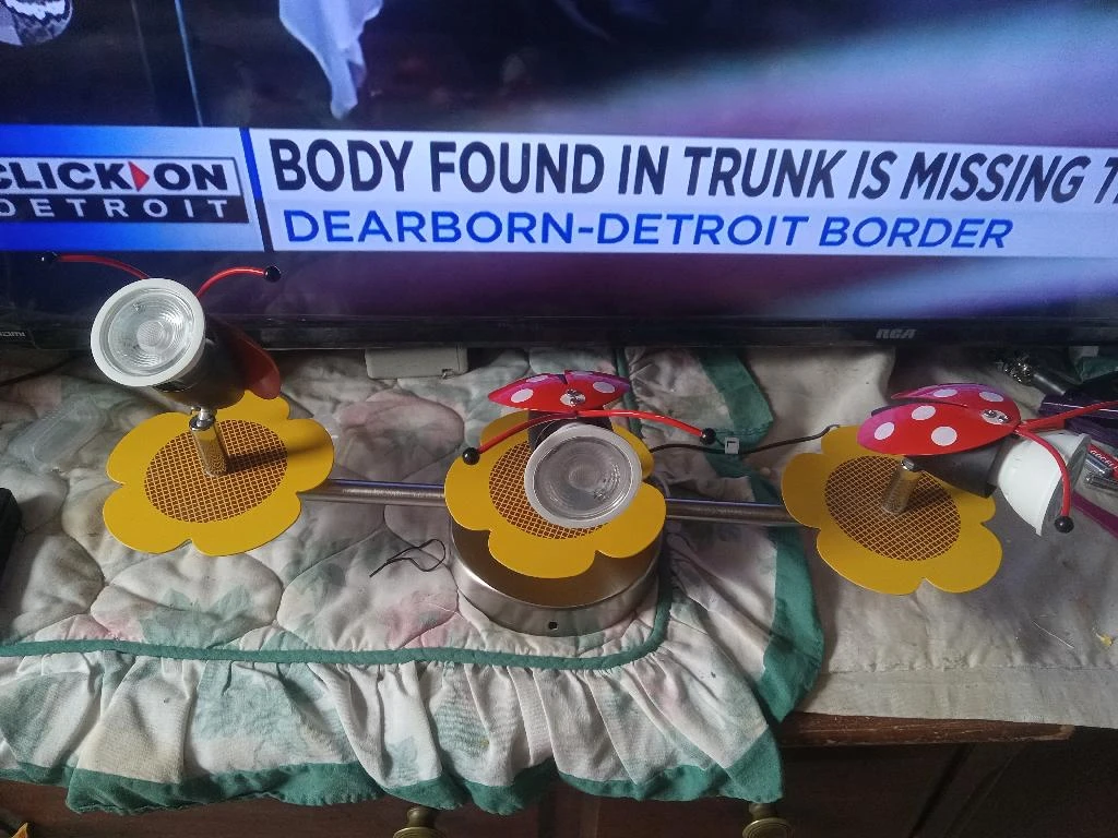 LadyBug Ceiling Light!!! - photo 2