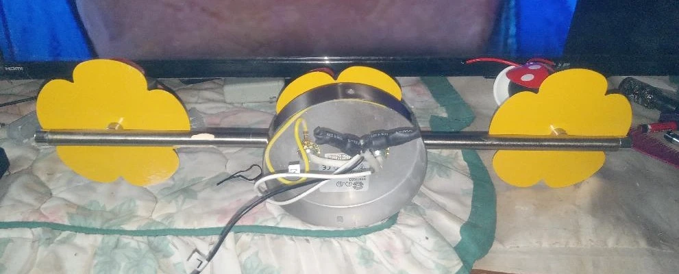 LadyBug Ceiling Light!!! - photo 3