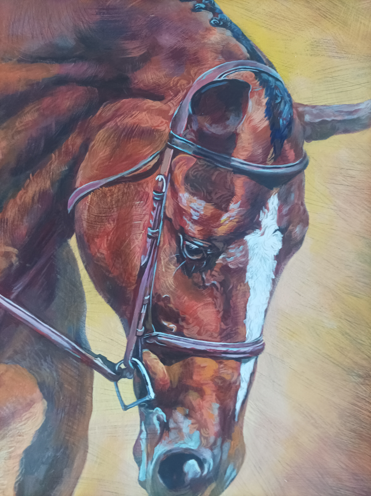 horses 40 by 30" image indicator(7)