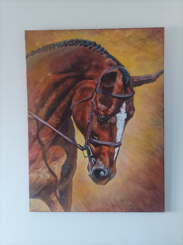 horses 40 by 30" image indicator(10)