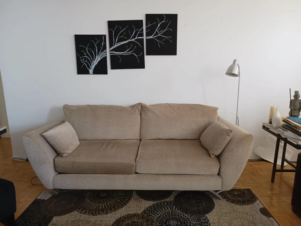 Modern Stylish Sofa