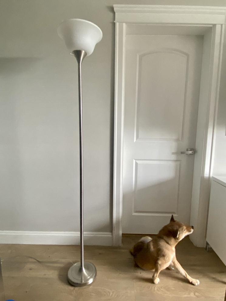 Lamp