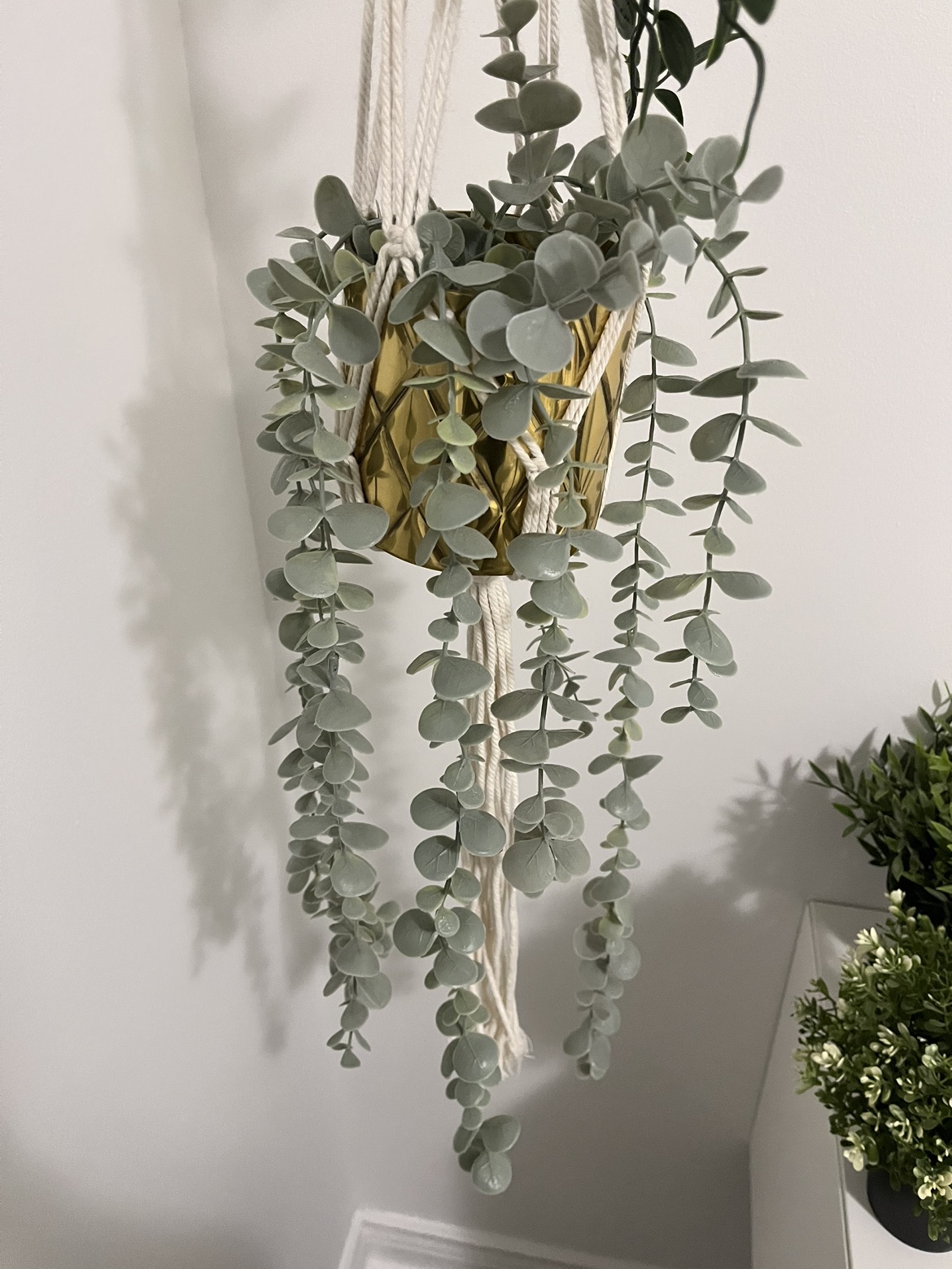 Ikea artificial plants (set of 4) - photo 2